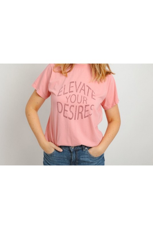 Camiseta Hollaire Desires
